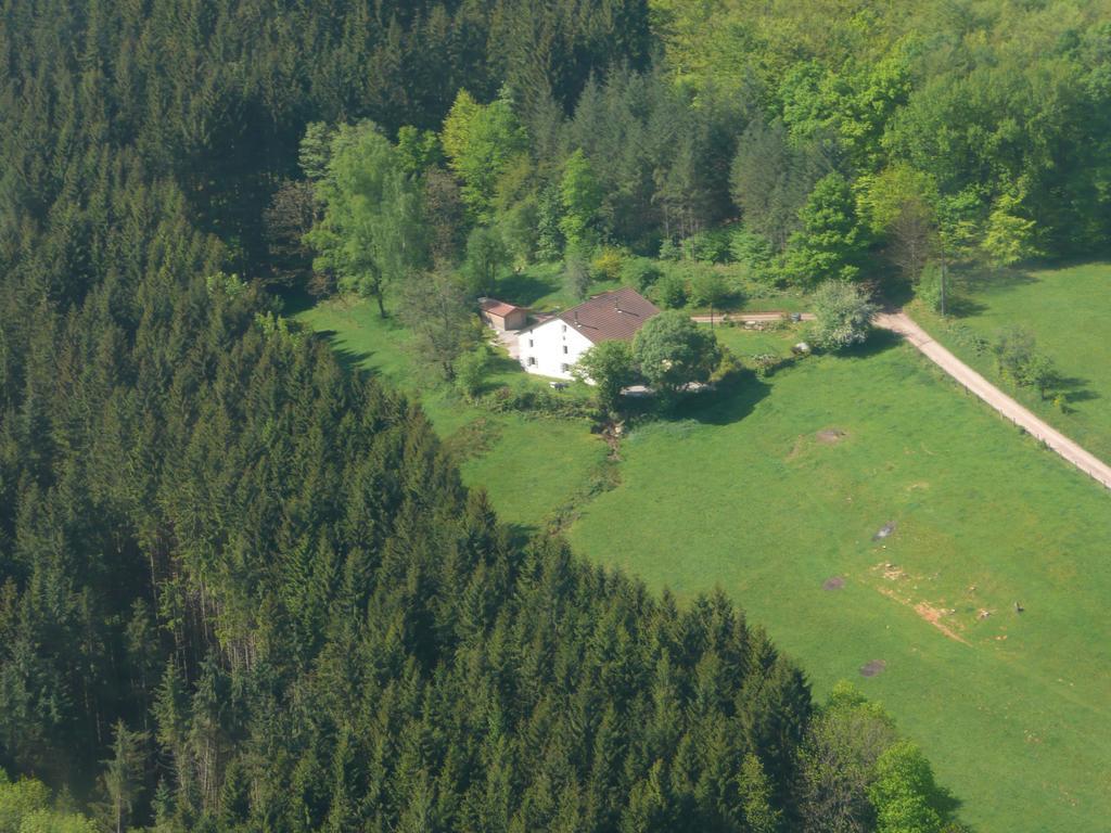 Bed and Breakfast Au Palton Raon-aux-Bois Zewnętrze zdjęcie